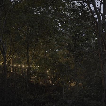 River Glamping By Gaga Bees Udawalawe Exteriör bild