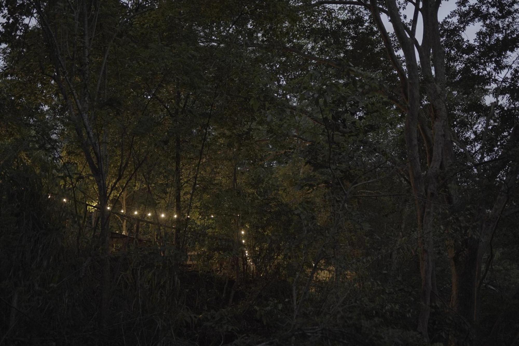 River Glamping By Gaga Bees Udawalawe Exteriör bild