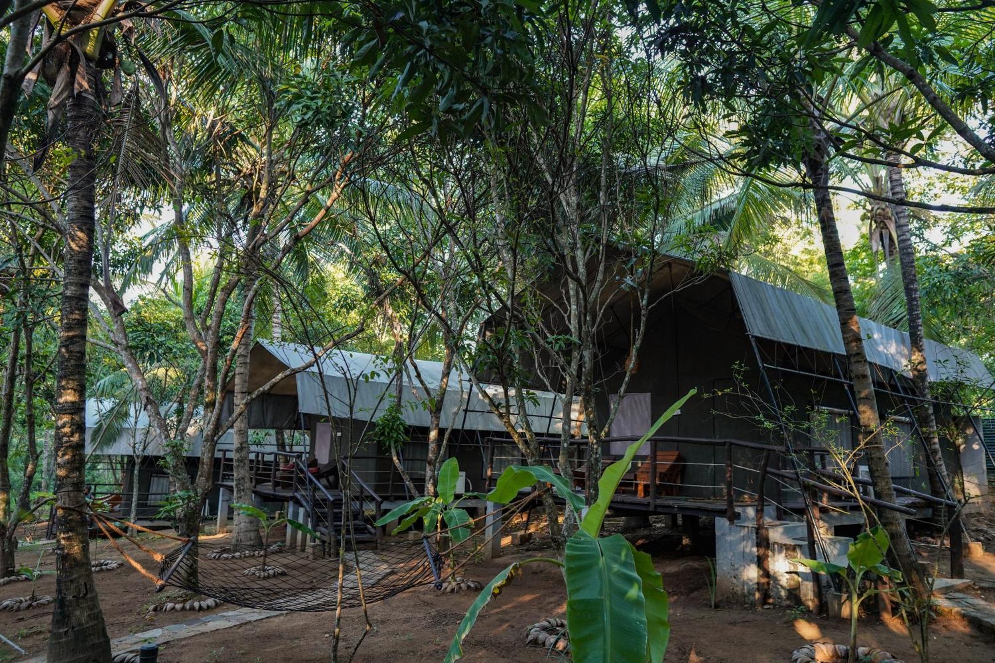 River Glamping By Gaga Bees Udawalawe Exteriör bild