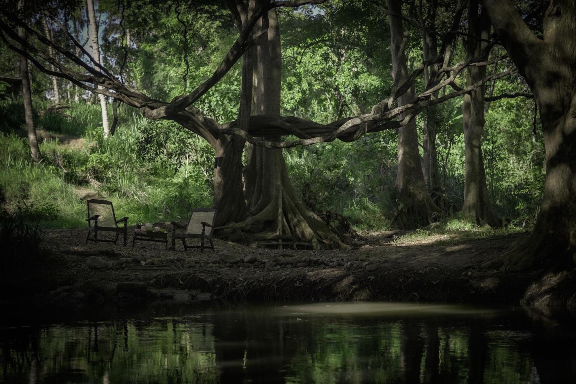 River Glamping By Gaga Bees Udawalawe Exteriör bild