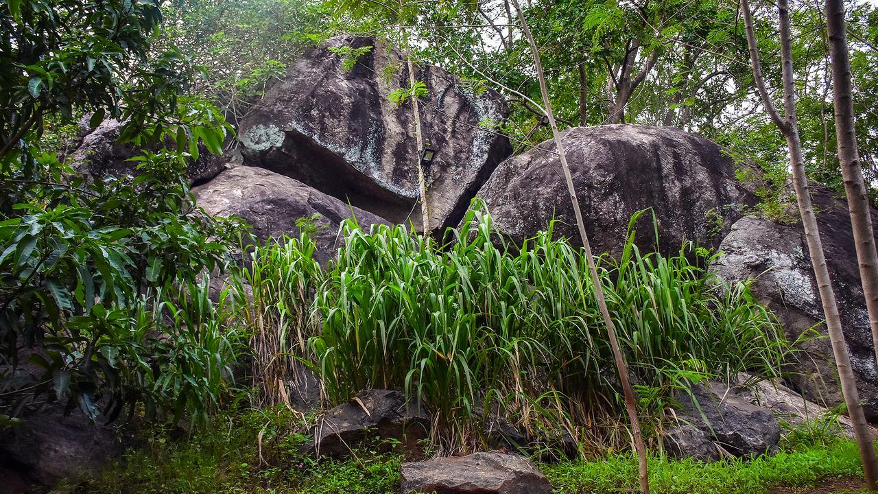 River Glamping By Gaga Bees Udawalawe Exteriör bild