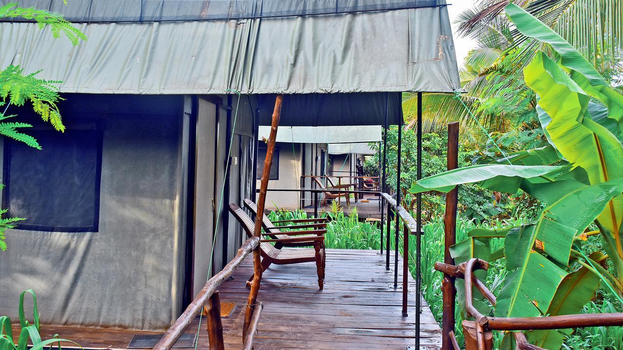 River Glamping By Gaga Bees Udawalawe Exteriör bild
