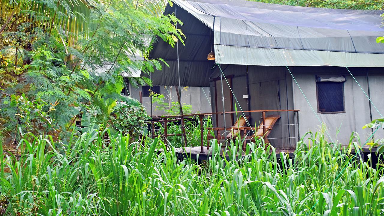 River Glamping By Gaga Bees Udawalawe Exteriör bild