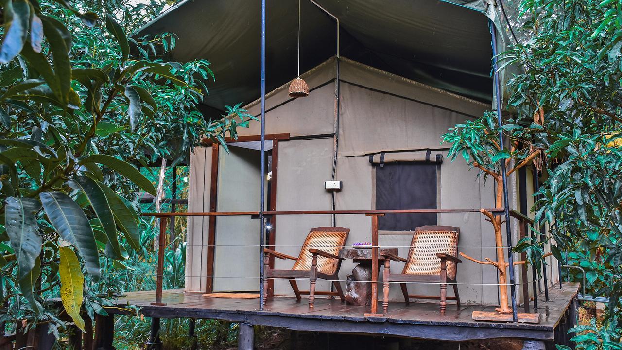 River Glamping By Gaga Bees Udawalawe Exteriör bild