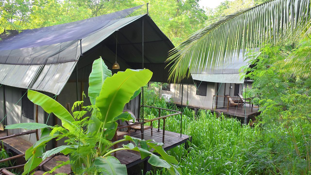 River Glamping By Gaga Bees Udawalawe Exteriör bild
